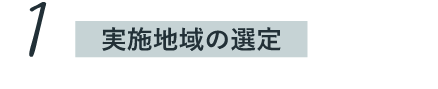実施地域の選定